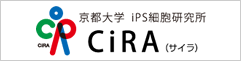 京都大学iPS細胞研究所